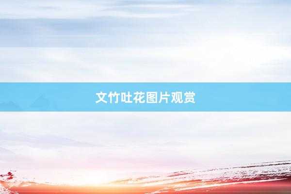 文竹吐花图片观赏