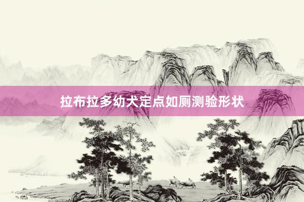 拉布拉多幼犬定点如厕测验形状